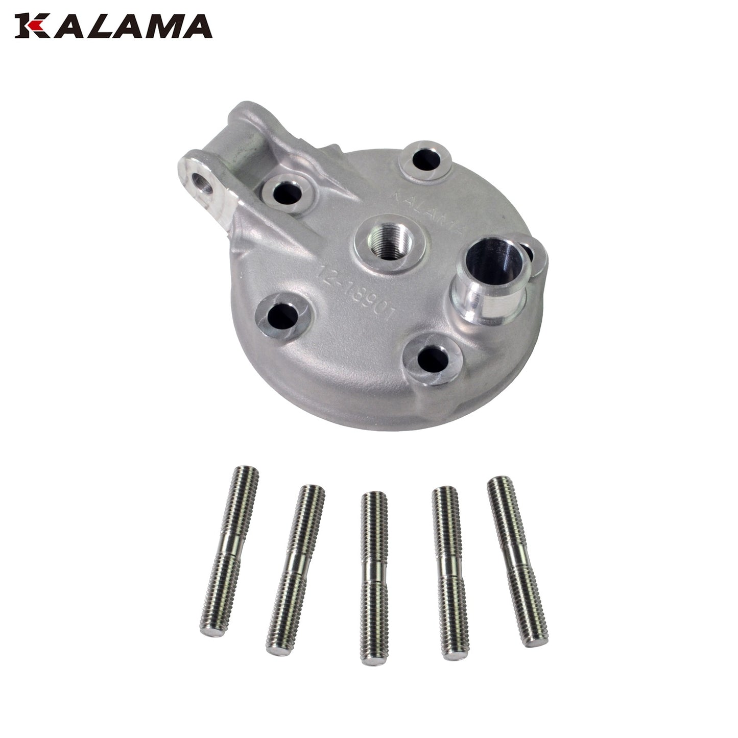 Engine Rebuild Kit for Yamaha YZ125 Cylinder, Cylinder Head, Studs, Power Valves, Piston Kit, Gasket Set 1998~2001