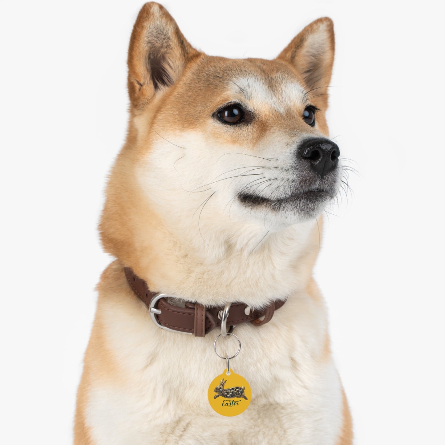 Kalama Easter Club Bunny Pet Tag — Yellow Round Personalized Dog & Cat ID Charm