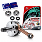 Engine Rebuild Kit for Kawasaki KX65 2001-2005 Crankshaft Crank w/ Main Bearings & Engine Gasket