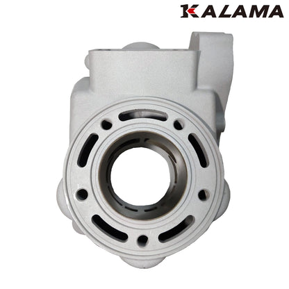 Fits Yamaha YZ125 Cylinder, Power Valve, Compete Engine Gasket 01~04